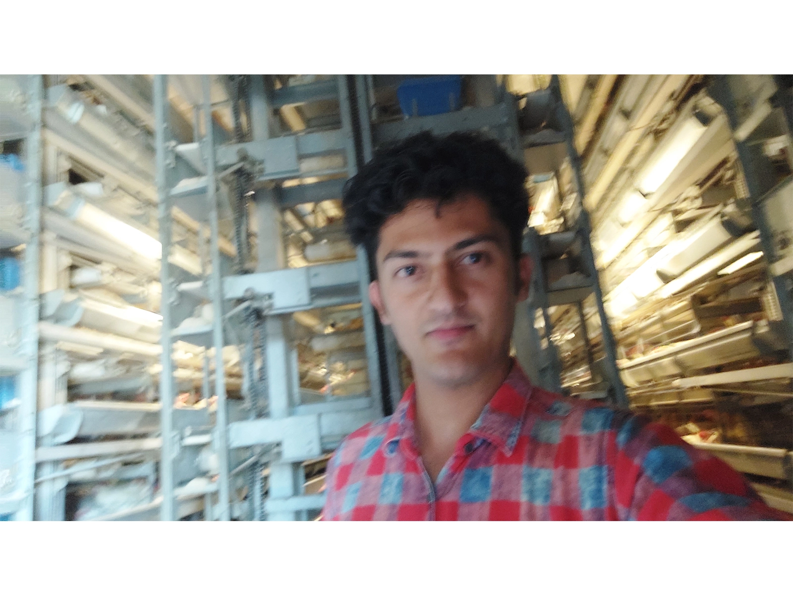 اتوماسیون مرغداری تخم گذار